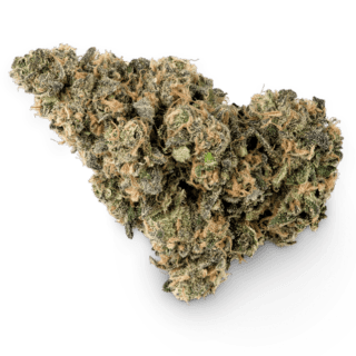 Papaya Sorbet Marijuana Strain