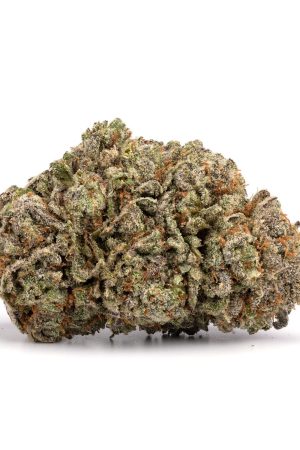 Purple Kush Marijuana Strain