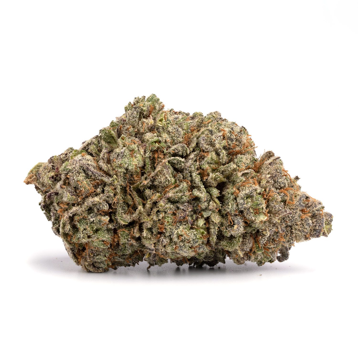 Varietà di marijuana Purple Kush