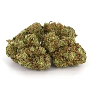 Kushberry Marijuana Strain