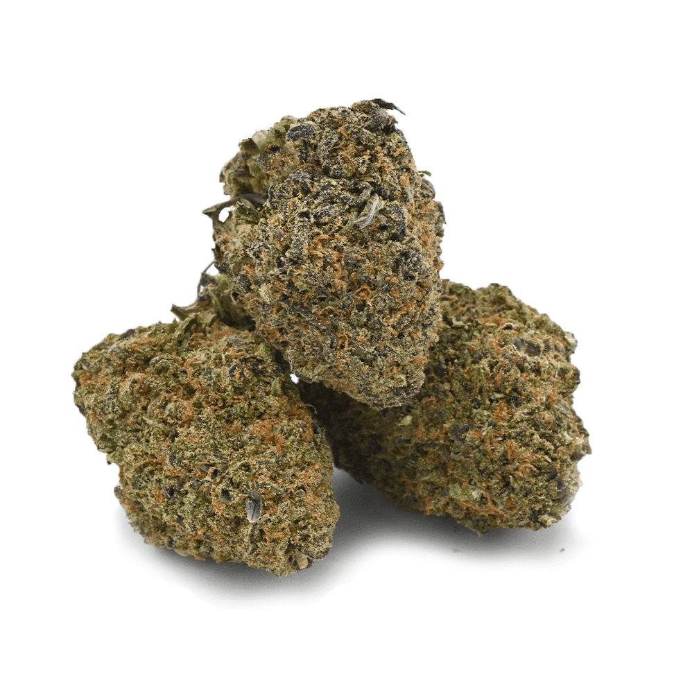 Razez Ibridi tal-Marijuana
