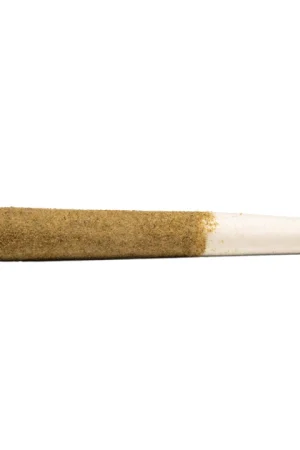 Berry G#33 Infunderet Pre-roll Joint