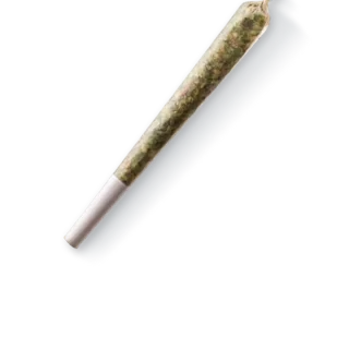 GMO Cookies Pre-roll Joint