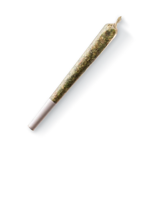 GMO Cookies Pre-roll Joint