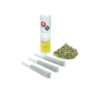Công ty Pre-roll Pacific OG